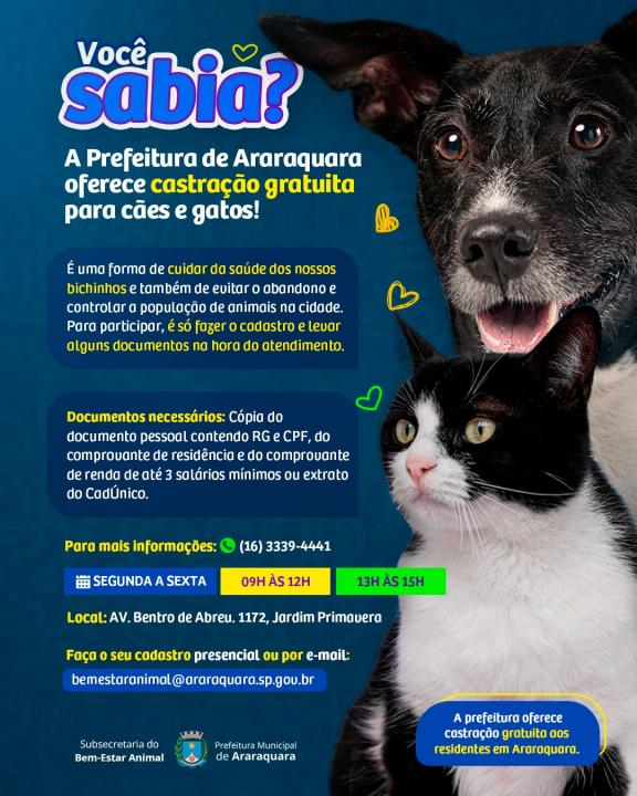 Foto 1 de 1 — Quer castrar seu pet de graça? Veja quem pode e como participar em Araraquara